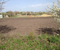 ��������� ������� �����������, �����������, ������ ���� 1