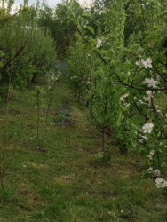 ��������� ������� ��������, �����������, ����������� ���� 2