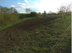 ������ �������� ������ ���� 3