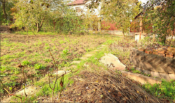 Продаж землі сільськогосподарського призначення фото 5 Продаж землі сільськогосподарського призначення фото 5