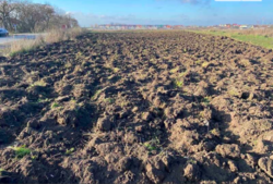 ������ ������ �� ������� �������� ���� 5