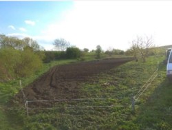 ������ �������� ������ ���� 1