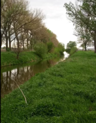 ��������� ������� �����������, �����������, ������� ���� 4