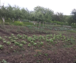 ��������� ������� �����������, �����������, ������ ���� 3