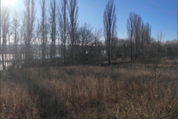 ������ ������ �� ������� �������� ���� 6