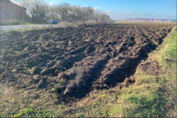 ������ ������ �� ������� �������� ���� 6