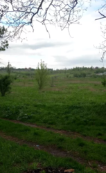 ��������� ������� �����������, �����������, ������� ���� 5