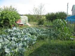 ��������� ������� �����������, �����������, ��������, ���� ���� 4