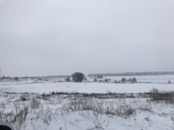 Продаж телятників та свинарників фото 1 Продаж телятників та свинарників фото 1