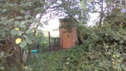 ��������� ������� ������, �����������, ����������� ���� 2