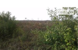 ������ �������� ������ ���� 2