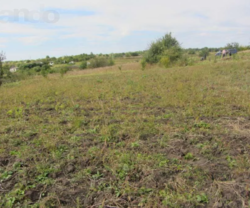 ��������� ������� �����������, �����������, ������ ���� 2