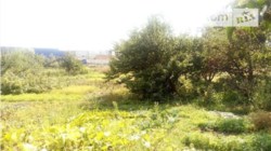 ��������� ������� ��������������, �����������, �����������, �������� ���� 12