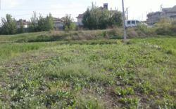 Продается участок Хмельницкий, Хмельницкая, Ружичная фото 4 Продается участок Хмельницкий, Хмельницкая, Ружичная фото 4