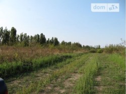 ������ �������� ������ ���� 7