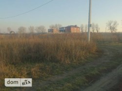 ������ �������� ������ ���� 5