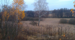 Продаж землі сільськогосподарського призначення фото 12 Продаж землі сільськогосподарського призначення фото 12