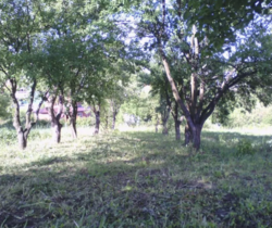 Продается участок Хмельницкая, Хмельницкий, Лезнево, мікрорайон Світанок-2 фото 1 Продается участок Хмельницкая, Хмельницкий, Лезнево, мікрорайон Світанок-2 фото 1