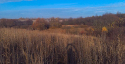 Продаж землі сільськогосподарського призначення фото 10 Продаж землі сільськогосподарського призначення фото 10