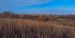 Продаж землі сільськогосподарського призначення фото 13 Продаж землі сільськогосподарського призначення фото 13