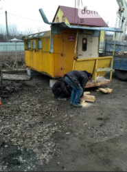 ��������� ������� �����������, �����������, ���-�������� ���� 2