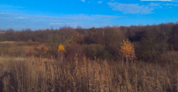 Продаж землі сільськогосподарського призначення фото 9 Продаж землі сільськогосподарського призначення фото 9