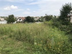 ������ �������� ������ ���� 5