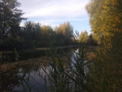 Продается участок Хмельницкая, Хмельницкий, Юго-Западный, Провулок Місячний фото 6 Продается участок Хмельницкая, Хмельницкий, Юго-Западный, Провулок Місячний фото 6