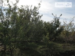 ������ �������� ������ ���� 3