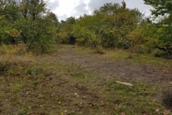 ������ �������� ������, ����� ������� ���� 10