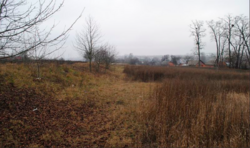 Продаж ділянки під житлову забудову фото 3 Продаж ділянки під житлову забудову фото 3