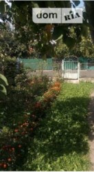 ��������� ������� ��������������, �����������, �����������, �������� ���� 10