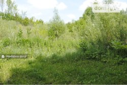 Продаж земельної ділянки фото 2 Продаж земельної ділянки фото 2