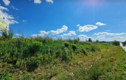 Продается участок Хмельницкая, Хмельницкий, Ружичная фото 2 Продается участок Хмельницкая, Хмельницкий, Ружичная фото 2