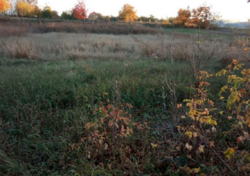 Продаж ділянки під житлову забудову фото 8 Продаж ділянки під житлову забудову фото 8