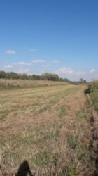 ��������� ������� ���������, �����������, ����������� ���� 3