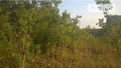 ������ �������� ������ ���� 1