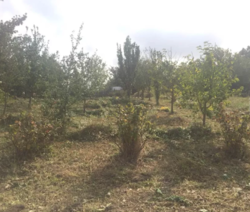 ������ �������� ������. ���� 1