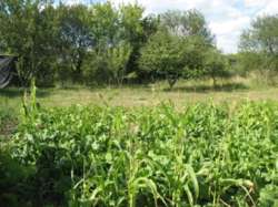 ��������� ������� �����������, �����������, ��������, ���� ���� 5