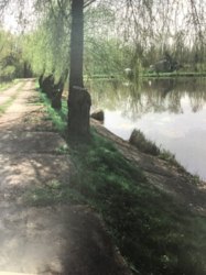 ��������� ������� �����������, �����������, �������������� ���� 17