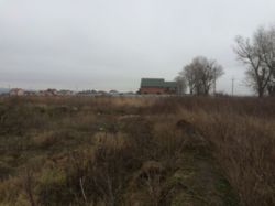 ��������� ������� �����������, �����������, ������� ������� ���� 8