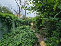 ��������� ������ ���, ������� ���., �. ���������� ���� 3