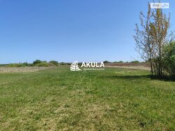 ��������� ������ ���, ���������� ���� 7