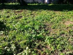 ��������� ������ ���, ������������� ���� 6