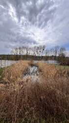 ��������� ������ ������, �����, ����-�������������, ������� ���� 5