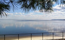 ��������� ������ ����, �������������, ������� ���� 1