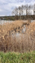 ��������� ������ ������, �����, ����-�������������, ������� ���� 7