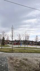 ��������� ������ ������, �����, ����-�������������, ������� ���� 9