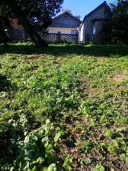 ��������� ������ ���, ������������� ���� 2