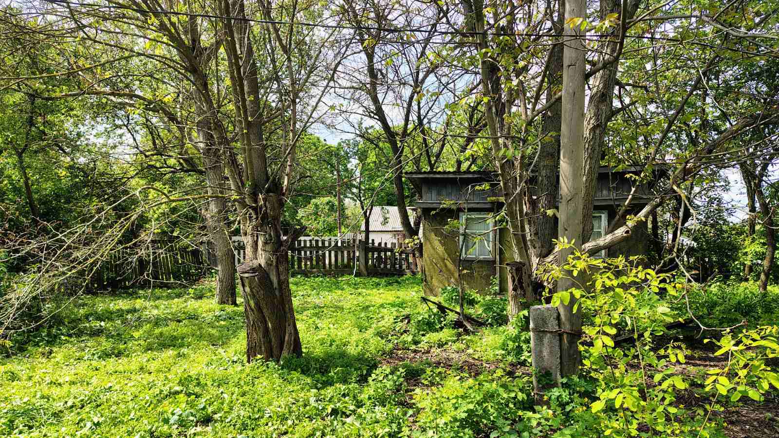 Продам ділянку - 48 сот. село Мала Стариця Бориспольський район фото 1 Продам ділянку - 48 сот. село Мала Стариця Бориспольський район фото 1